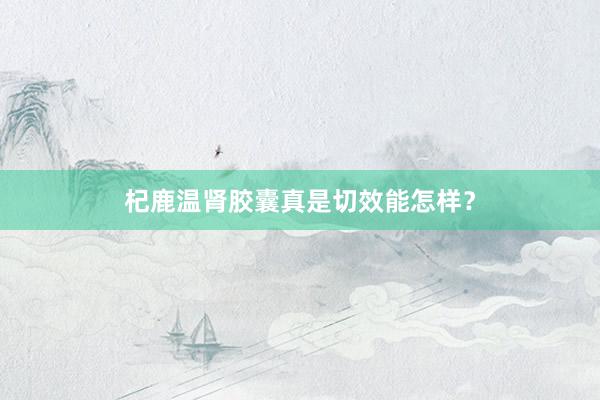 杞鹿温肾胶囊真是切效能怎样？