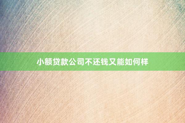 小额贷款公司不还钱又能如何样