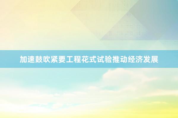 加速鼓吹紧要工程花式试验推动经济发展